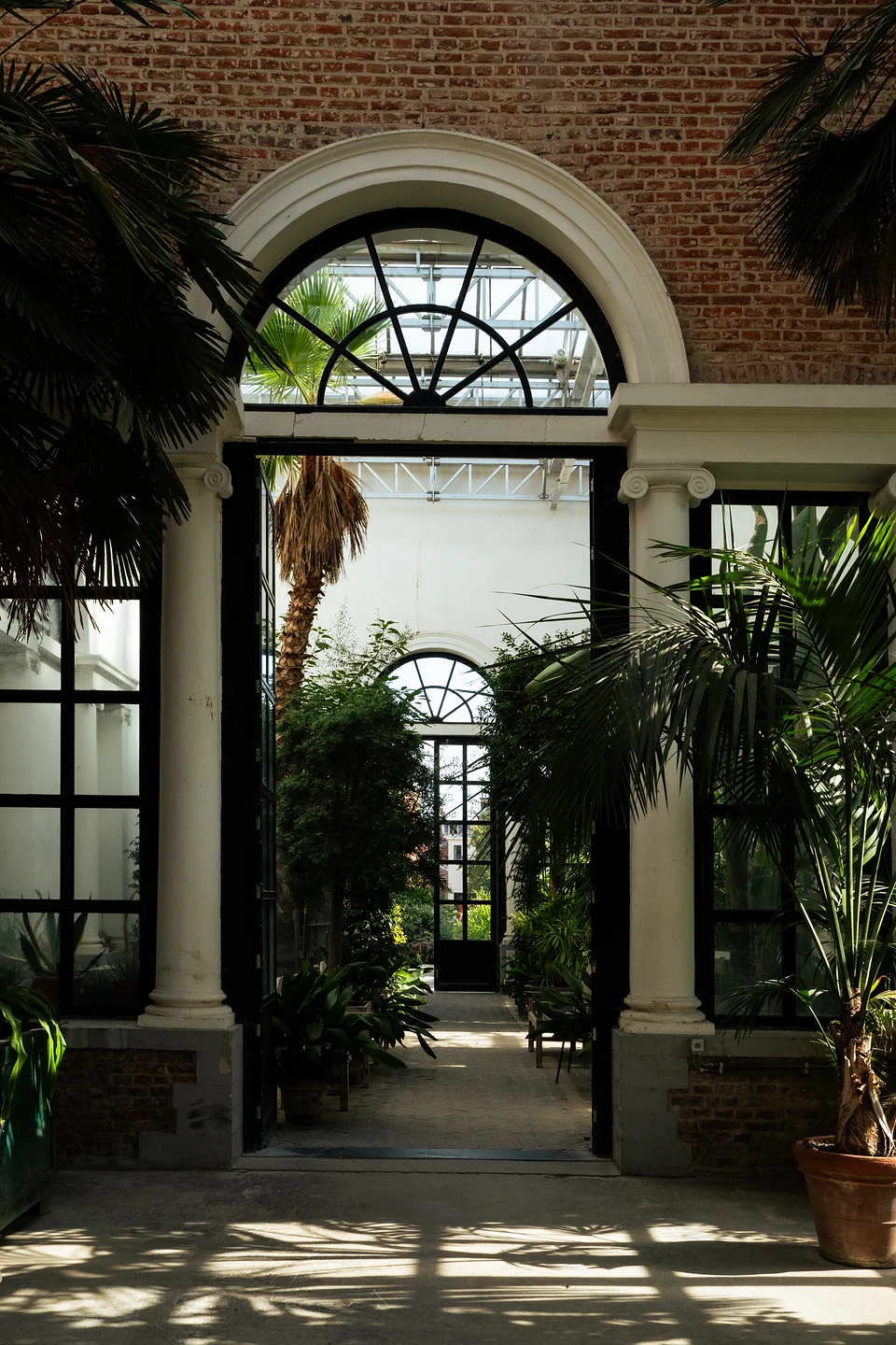 Looking through an arched doorway with white columns into a bright glasshouse full of palms